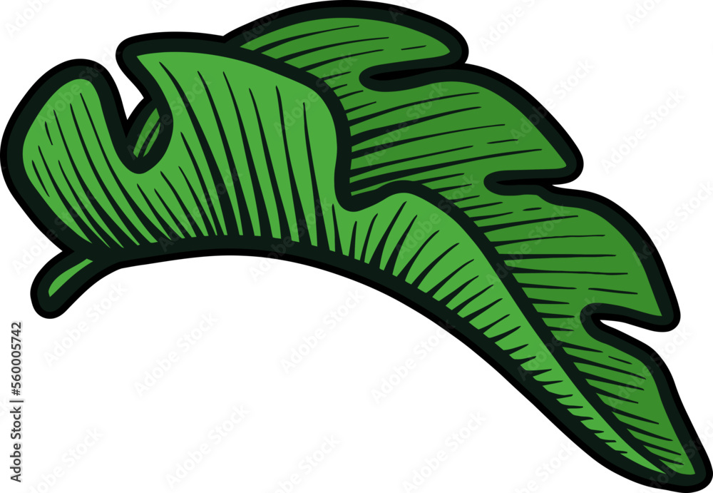 Obraz premium Hand Drawing Tropical Leaf 