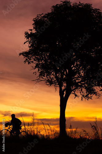 A young man enjoying sunset near the apple tree