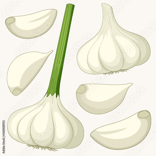 Garlic in cartoon style isolated