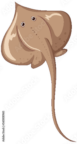 Atlantic stingray isolated on white background