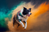 Border collie running through colorful powder. Generative Ai.  