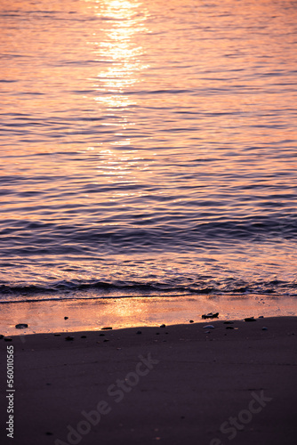 昇る朝日に照らされてキラキラと輝く砂浜海岸