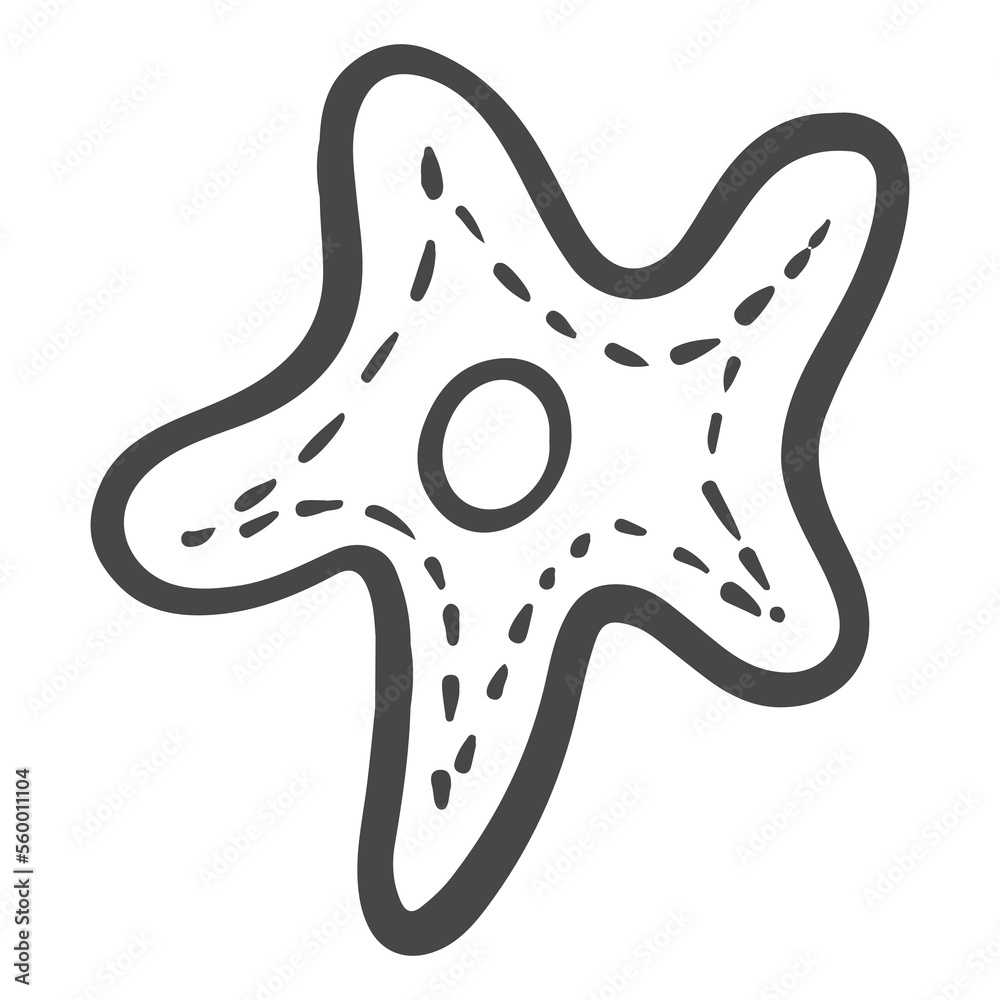 star fish animal in sea hand drawn sketch doodle illustration star fish animal in sea hand drawn sketch doodle illustration