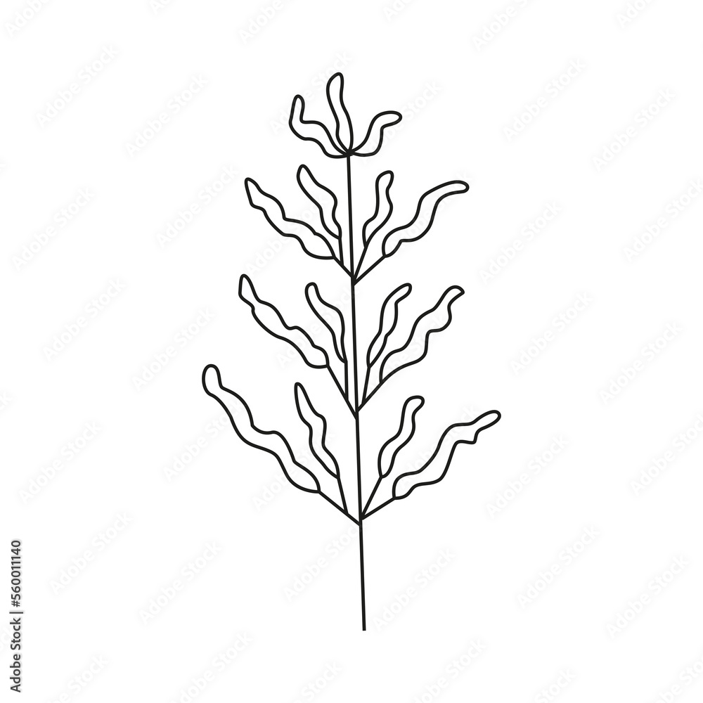 Hand drawn plant illustration. Hand drawn plant illustration.