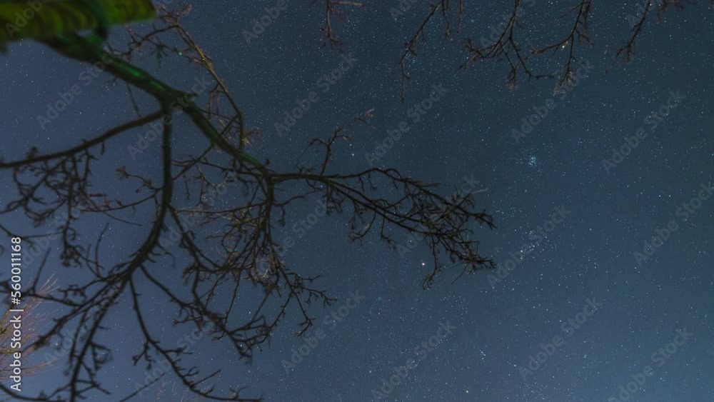 Scenic rotating deep clear night sky with bright stars pass across the tree branch, slow panning timelapse video