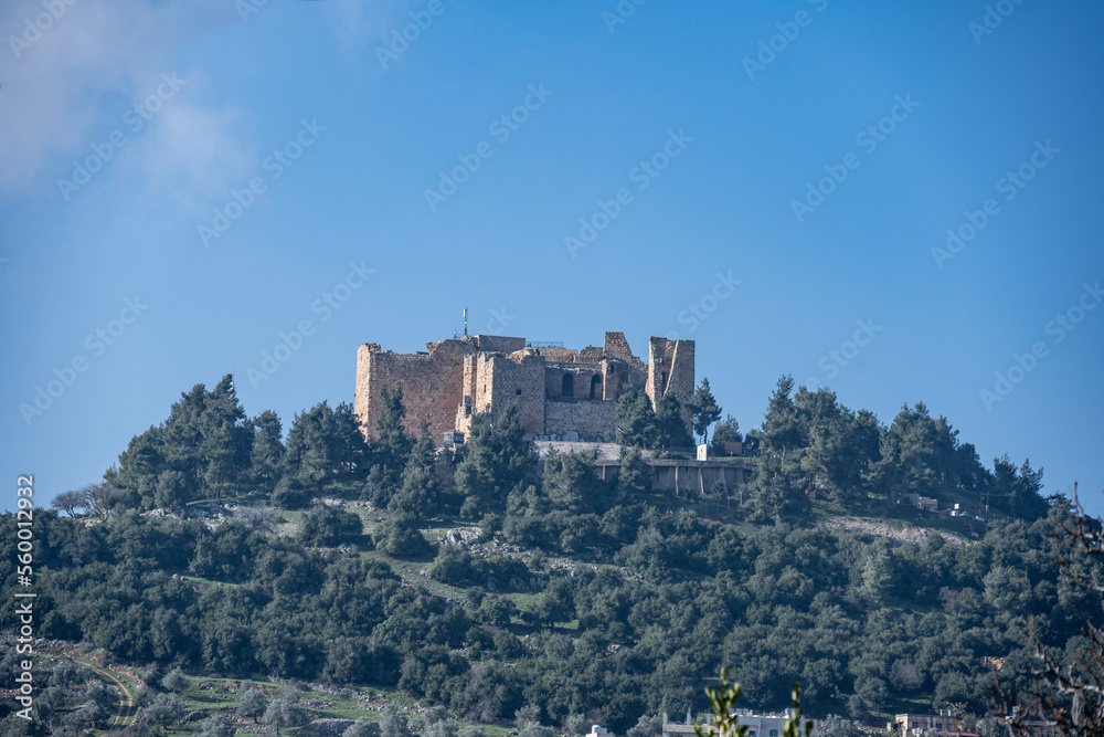 picturesque ancient ruins of ancient fortresses in Jordan against the blue sky