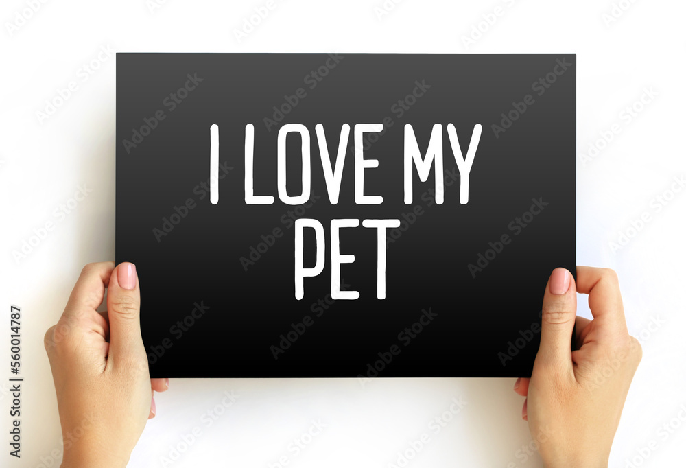 I love my Pet text on card, concept background I love my Pet text on card, concept background