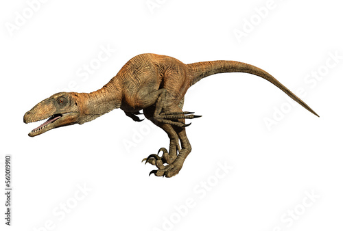 Velociraptor dinosaur jurassic