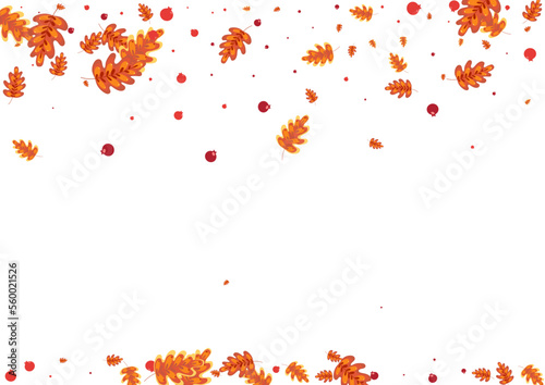 Yellow Plant Background White Vector. Leaf Forest Illustration. Golden Oak. Modern Design. Orange Leaves Isolated.