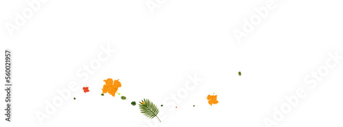 Yellow Palm Background White Vector. Leaves Safari Pattern. Orange Hibiscus. Wrapping Texture. Light Green Jungle Design.