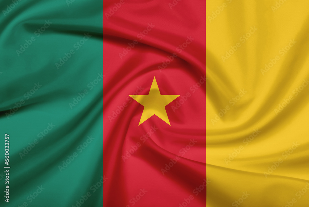 Flag of Cameroon Flag of Cameroon
