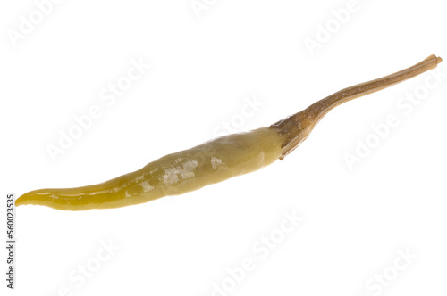 green chili pepper isolated