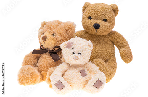 toys bears isolated