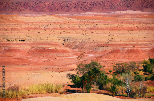 Quadro su tela Beautiful desert view, barren multicolored hills in red, pink, purple and yellow colors, few trees and dry grass in Southern Morocco, North West Africa
