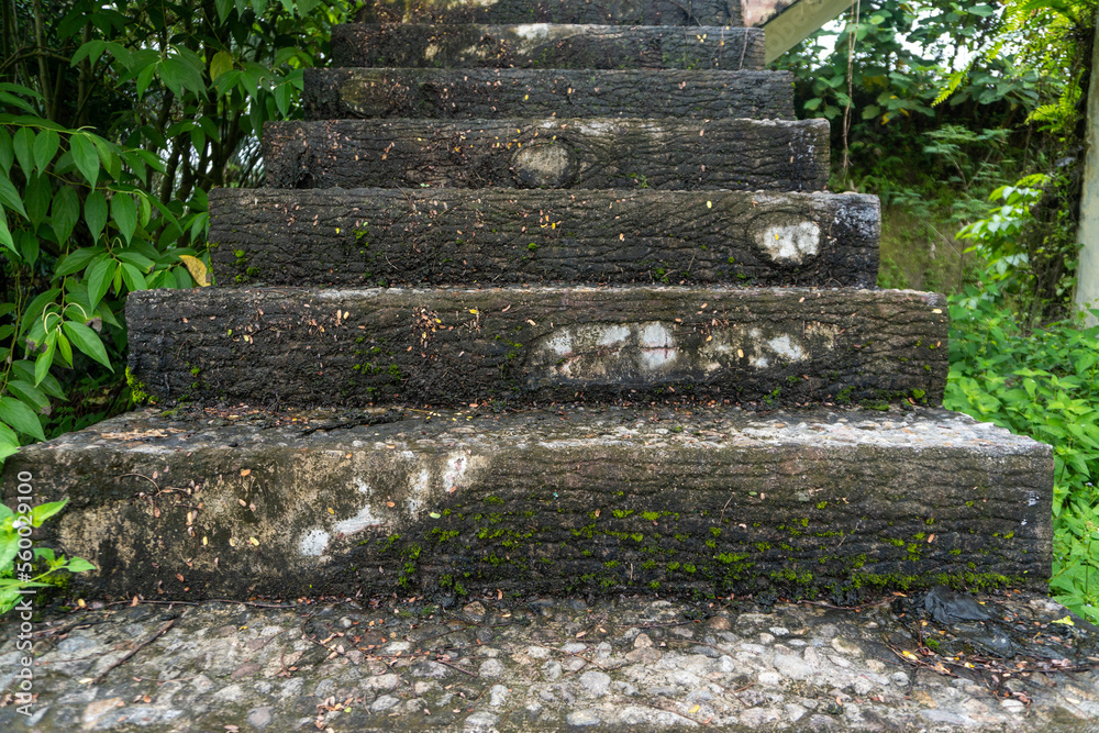 Abandoned stairs with mossy textures in damp area Abandoned stairs with mossy textures in damp area