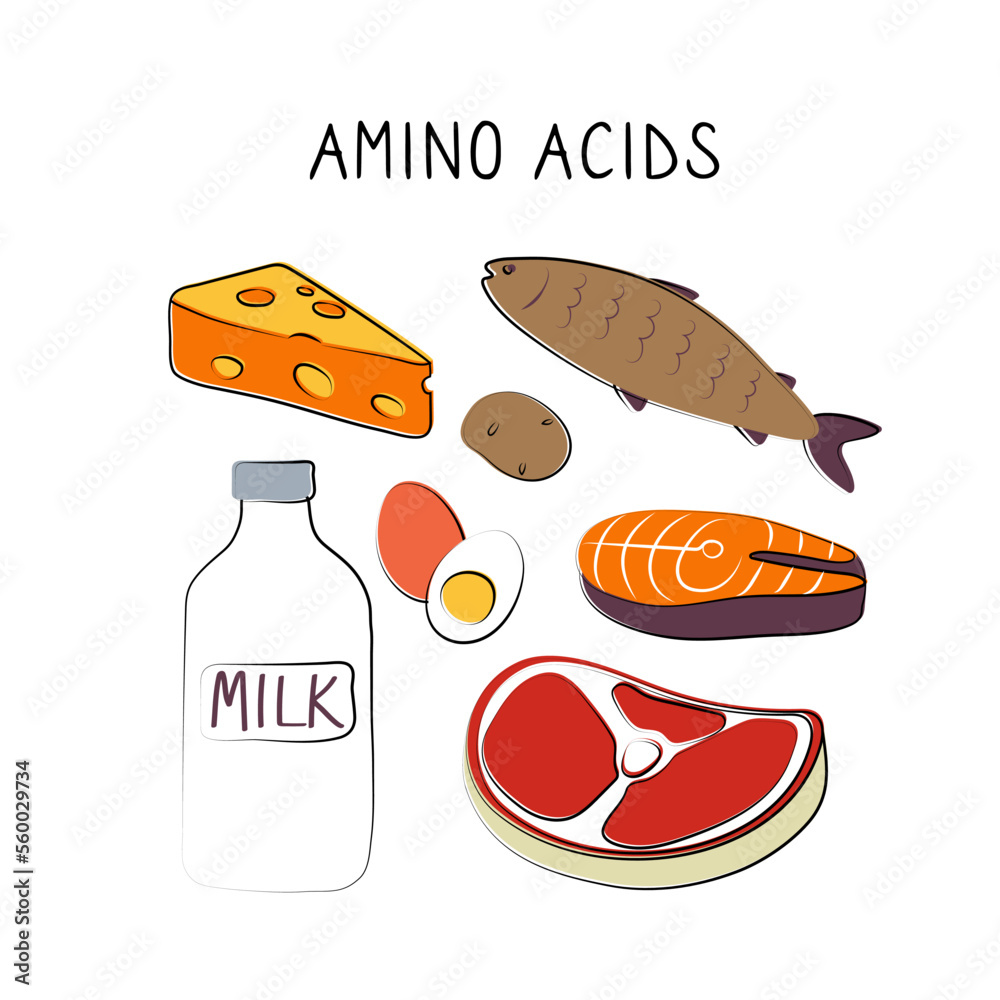 Amino acidscontaining food. Groups of healthy products containing