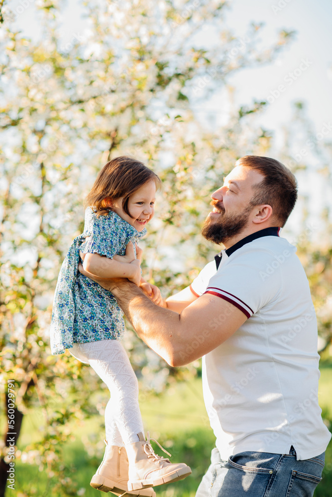 Dad plays and tosses his little daughter on a walk in a blooming spring garden. Dad plays and tosses his little daughter on a walk in a blooming spring garden.