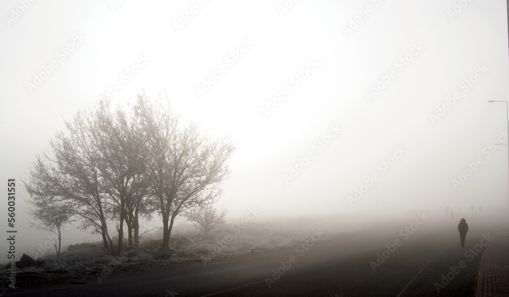 Obraz premium misty morning mist, misty morning in the forest, silhouette of a person walking on a morning, silhouette of a person walking in a fog, silhouette of a person walking in the fog,