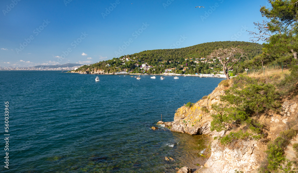 Beautiful panoramic view of the Black Sea with yachts and the city in the background. Rocky coast with trees and pines on a sunny summer day.