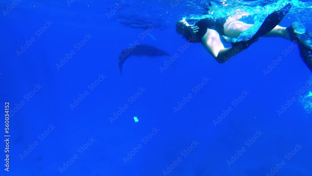 A woman swimming with a manta ray in the blue ocean