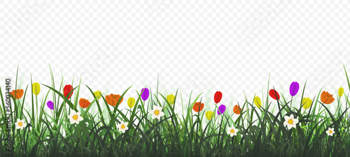Floral background with green grass. Seamless banner