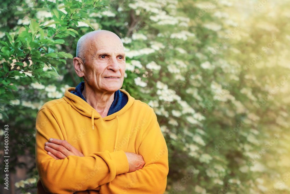 Old hoary man is dreaming standing in garden at summer evening Old hoary man is dreaming standing in garden at summer evening