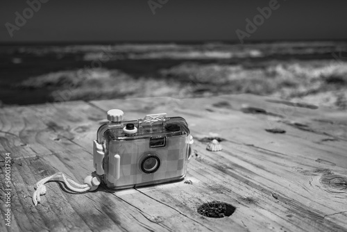 camera and the sea photo