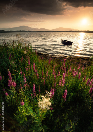 Fototapeta Naklejka Na Ścianę i Meble -  Jezioro Zywiecki