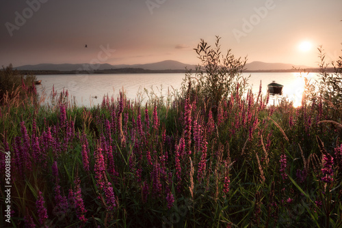 Fototapeta Naklejka Na Ścianę i Meble -  Jezioro Zywiecki