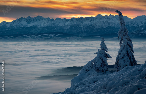 Fototapeta Naklejka Na Ścianę i Meble -  Beskidy - Pilsko