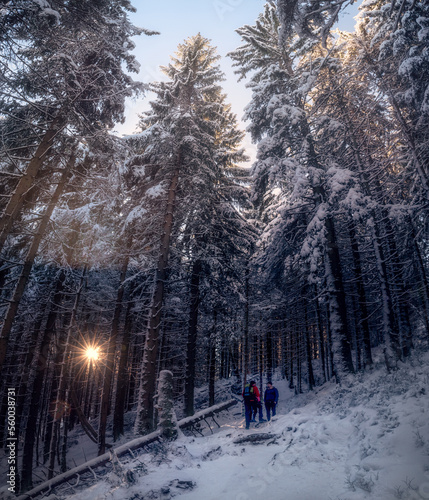 Fototapeta Naklejka Na Ścianę i Meble -  Beskid Żywiecki
