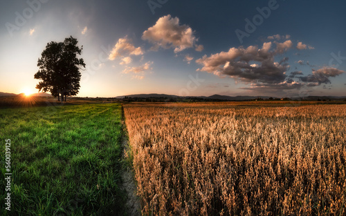 Fototapeta Naklejka Na Ścianę i Meble -  Beskidy