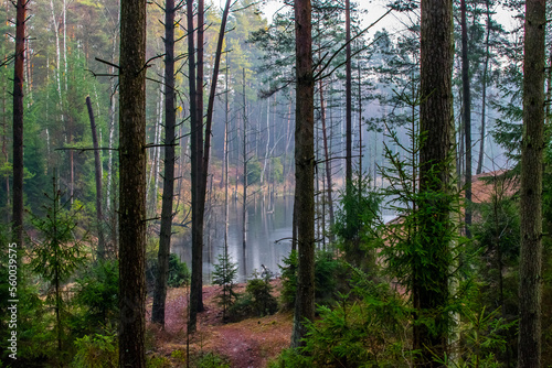 Fototapeta Naklejka Na Ścianę i Meble -  krajobraz