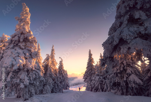 Fototapeta Naklejka Na Ścianę i Meble -  Beskidy zimą