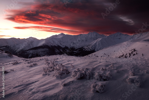 Fototapeta Naklejka Na Ścianę i Meble -  Tatry