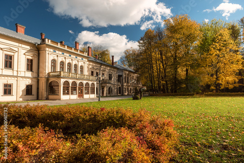 Fototapeta Naklejka Na Ścianę i Meble -  Park