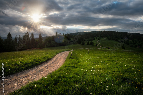 Fototapeta Naklejka Na Ścianę i Meble -  Beskidy