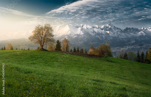 Fototapeta Naklejka Na Ścianę i Meble -  tatry