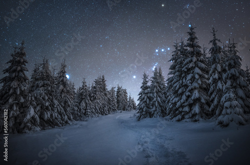 Fototapeta Naklejka Na Ścianę i Meble -  Nocne niebo