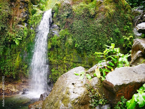 Cascade cascata do Grena dans la forêt tropicale du parc naturel Parque da Grena près du lac de Furnas dans l'archipel des Açores. Île de Sao Miguel. Portugal photo