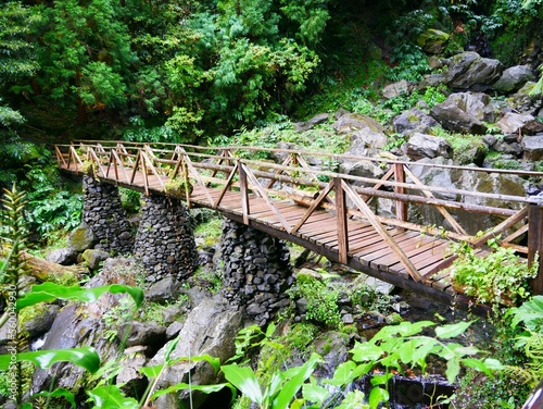 Pont sur la rivière du lac de Furnas dans la forêt tropicale du parc naturel Parque da Grena près du lac de Furnas dans l'archipel des Açores. Île de Sao Miguel. Portugal photo