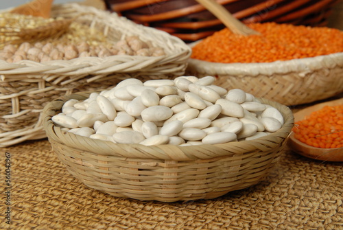 grain consept