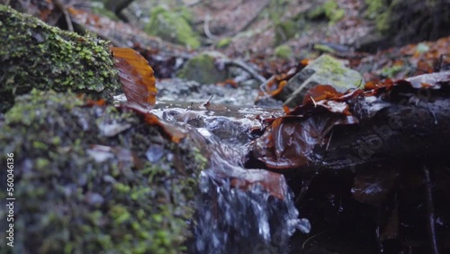 Mountain river water flowing close up with autumn forest at background. A stream in the autumn forest. Macro shooting. The camera moves along the stream. Slow motion 120fps FullHD footage.
