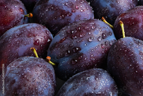 Plums with drops. background of beautiful home plums