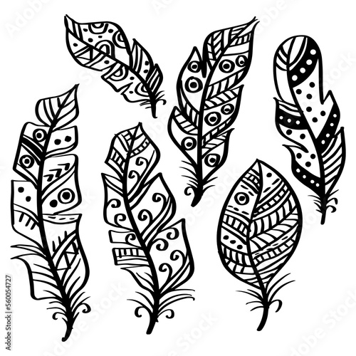 Hand drawn bird feathers set 