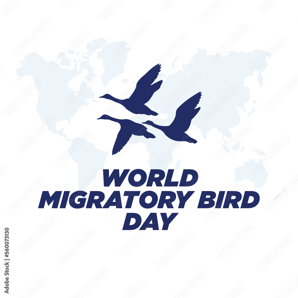 Fototapeta premium Bird migration vector design word migratory bird day 14 may bird editable design vector