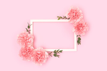 Frame made of carnation flowers and green eucalyptus branches on a pink background. Floral composition.