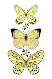 Set of summer yellow butterfly illustrations for card, pattern, stationery, poster or print. Hand drawn vector art.
