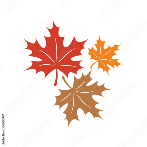 Maple logo icon design