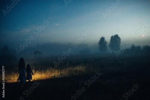 Fototapeta Naklejka Na Ścianę i Meble -  silhouette of a person walking in the fog